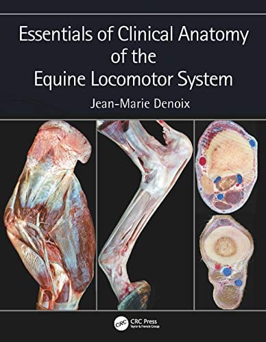 Essentials of Clinical Anatomy of the Equine Locomotor System 2019 by Jean-Marie Denoix