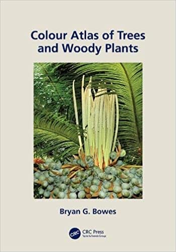 Colour Atlas of Woody Plants and Trees 2020 by Bryan G. Bowes