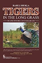 Tigers In The Long Grass My Link With Big Cats In Sugarcane (Hb 2017)  By Shukla R