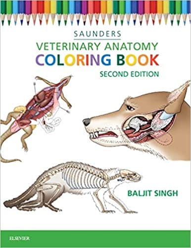Veterinary Anatomy Coloring Book - 2nd Edition By Saunders