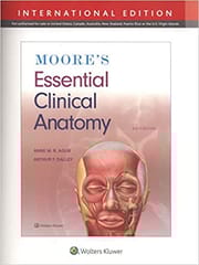 Moores Essential Clinical Anatomy 6th Edition 2019 By Agur A M R