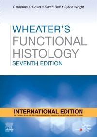 Wheaters Functional Histology With Access Code 7th Edition 2024 By Geraldine O'Dowd