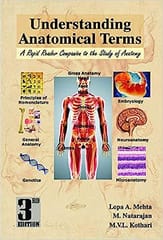 Understanding Anatomical Terms : A Rapid Reader Co 3rd 2019 By Mehta