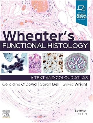 Wheaters Functional Histology A Text And Colour Atlas With Access Code 7th Edition 2024 By O Dowd G