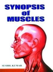 Synopsis of Muscles 2008 By Kumar