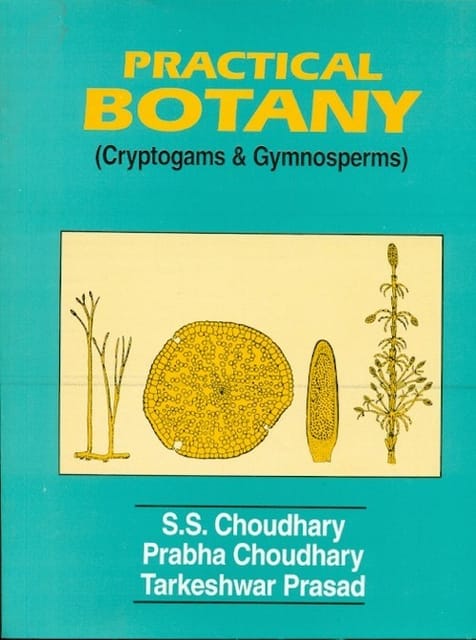 Practical Botany: Cryptogams & Gymnosperms 2001 By Choudhary S S
