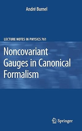 Noncovariant Gauges In Canonical Formalism 2008 by Burnel A.