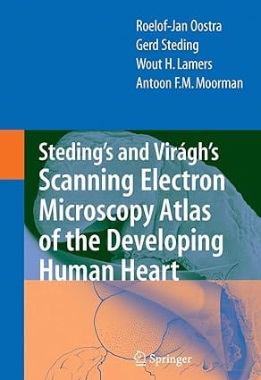 Steding'S And Viragh'S Scanning Electron Microscopy Atlas Of The Developing Human Heart 2007 By Oostra R -J