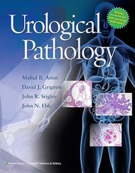 Urological Pathology 2014 By Amin M B