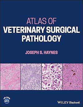 Atlas Of Veterinary Surgical Pathology 2023 By Haynes J S