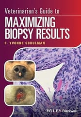 Veterinarians Guide To Maximizing Biopsy Results 2016 By Schulman F Y