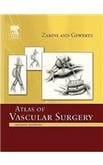 Atlas Of Vascular Surgery 2nd Edition Edition 2009 By Zarins C K
