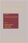 Methods In Cell Biology Vol 74(Development Of Sea Urchins Ascidiansand Other Invertbrate Deuterostomes Experimental Approach) 2004 By Ettensohn C A