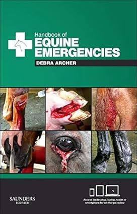 Handbook Of Equine Emergencies 2013 By Archer D C