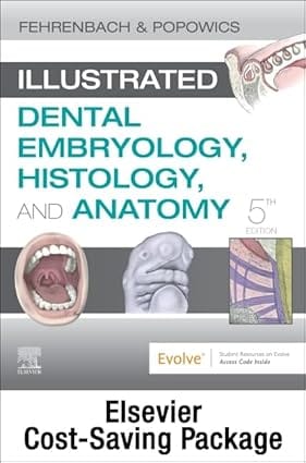Illustrated Dental Embryology Histology And Anatomy Text And Student Workbook Package 5th Edition 2020 By Fehrenbach M J
