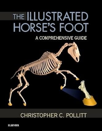 The Illustrated Horses Foot A Comprehensive Guide 2016 By Pollitt C C