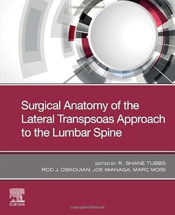 Surgical Anatomy Of The Lateral Transpsoas Approach To The Lumbar Spine 2021 By Tubbs R S