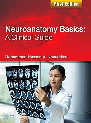 Neuroanatomy Basics A Clinical Guide 2017 By Noureldine M