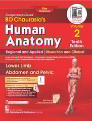 BD Chaurasia Human Anatomy Volume 2, 10th Edition 2024