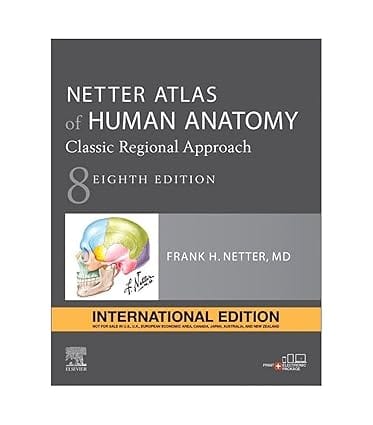 Atlas Of Human Anatomy 7th Edition International Edition 2019 By Netter F H