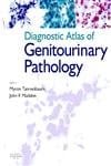 Diagnostic Atlas Of Genitourinary Pathology 2006 By Tannenbaum M
