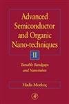 Advanced Semiconductor And Organic Nano-Techniques Vol-2 2003 By Morkoc H