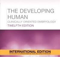 The Developing Human Clinically Oriented Embryology With Access Code 12th Edition 2025 By Persaud T V N