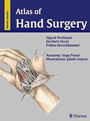 Atlas Of Hand Surgery 2000 By Pechlaner S