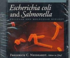 Escherichia Coli And Salmonella Cd 1999 By Neidhardt F C