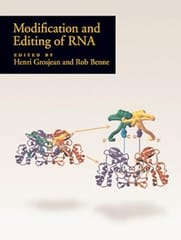 Modification And Editing Of Rna 1998 By Grosjean H