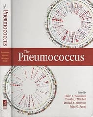 The Pneumococcus 2004 By Tuomanen E I