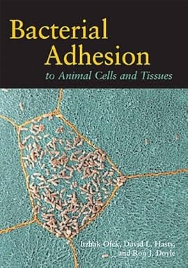 Bacterial Adhesion To Animal Cells And Tissues 2003 By Ofek I