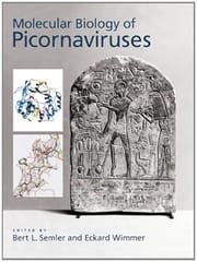 Molecular Biology Of Picornaviruses 2002 By Semler B L