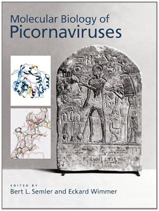 Molecular Biology Of Picornaviruses 2002 By Semler B L