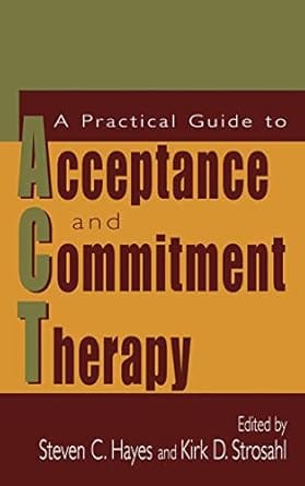 A Practical Guide To Acceptance And Commitment Therapy 2004 By Hayes S C