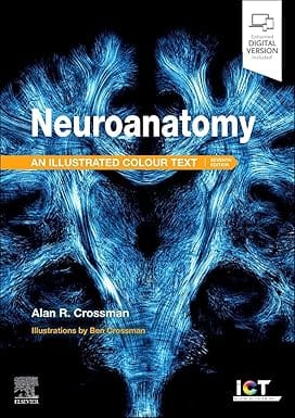 Neuroanatomy Illustrated Colour Text With Access Code 7th Edition 2025 By Crossman A R