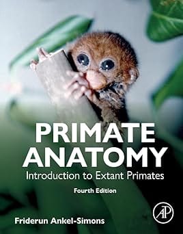 Primate Anatomy Introduction To Extant Primates 4th Edition 2024 By Ankel-Simons F