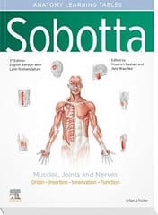 Sobotta Learning Tables Of Muscles, Joints And Nerves 3rd Edition  2023  By Waschke J