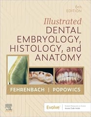 Illustrated Dental Embryology, Histology, and Anatomy 6th Edition 2025 By Fehrenbach