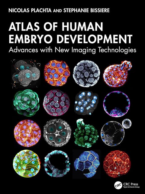 Atlas Of Human Embryo Development Advances With New Imaging Technologies 2026 By Plachta N