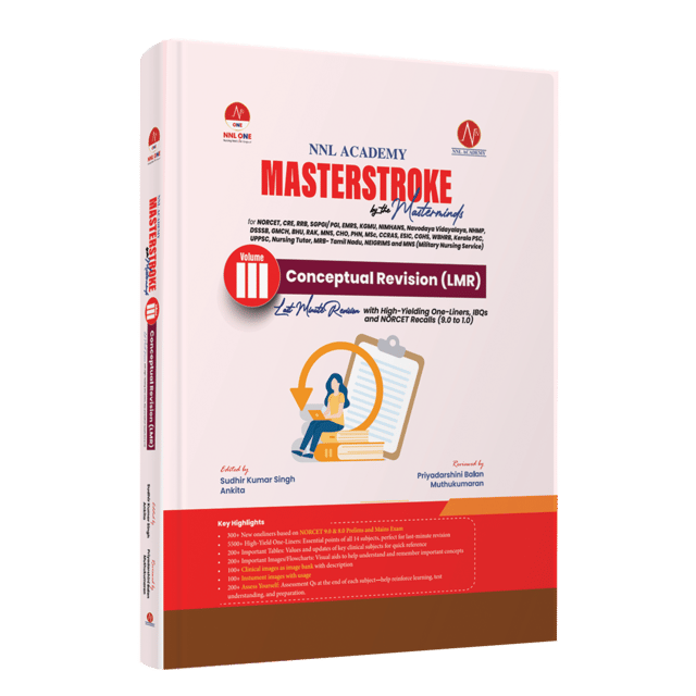 Masterstroke by the Masterminds Volume 3 Conceptual Revision LMR