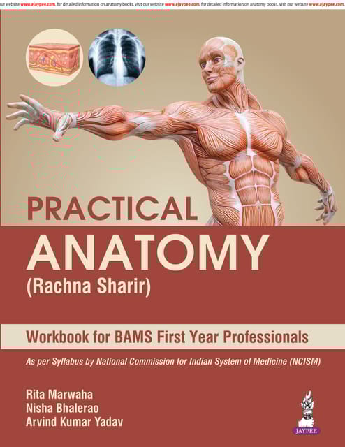 Practical Anatomy (Rachna Sharir) 1st Edition 2026 By Rita Marwaha