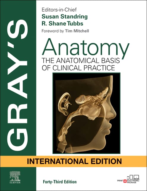 Grays Anatomy:The Anatomical Basis of Clinical Practice(IE) 43rd Edition  2025 By Standring