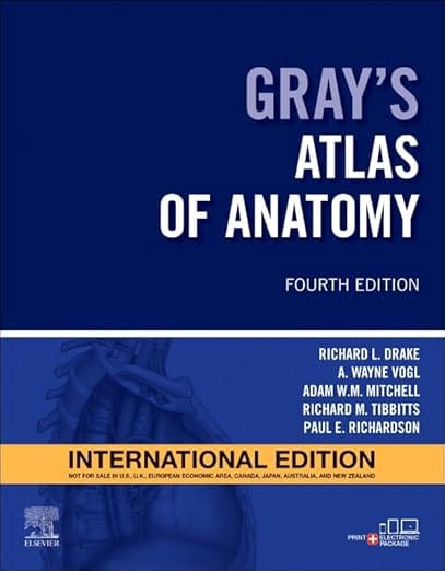 Grays Atlas of Anatomy IE 4th Edition  2025 By Drake