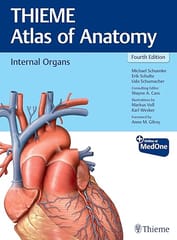 THIEME Atlas of Anatomy : Internal Organs, 4th Ed 2025 By Schuenke