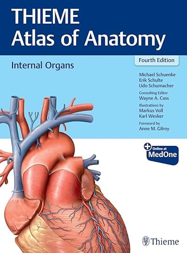 THIEME Atlas of Anatomy : Internal Organs, 4th Ed 2025 By Schuenke