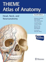 THIEME Atlas of Anatomy : Head, Neck, and Neuroanatomy 4th Edition 2025 By Schuenke