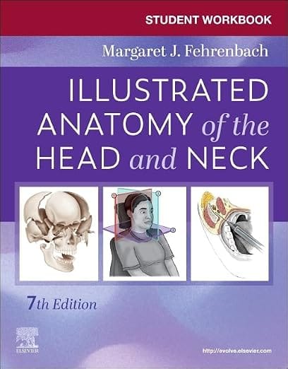 Student Workbook For Illustrated Anatomy Of The Head And Neck  7th Edition   2026 By Fehrenbach M J
