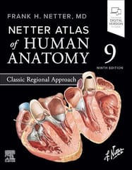 Netter Atlas Of Human Anatomy Classic Regional Approach 9th Edition 2026 By Netter F H