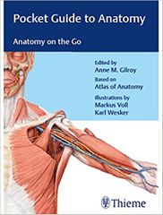 Pocket Guide To Anatomy 1st Edition 2017 By Gilroy